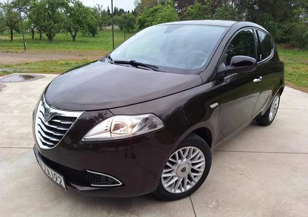 Lancia Ypsilon cena 24900 przebieg: 169300, rok produkcji 2014 z Dzierżoniów małe 379